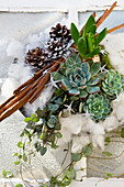 Christmas arrangement of succulents, hyacinth, cones, cinnamon sticks, and wool