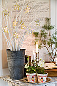 DIY paper stars on white branches and Christmas roses in Christmas decorated pots