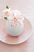 Vase mit Nelken auf rosa Teller