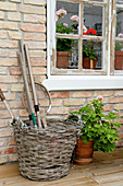 Old basket and geraniums on the brick wall with Muntin window