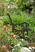 Vintage metal bench in the garden