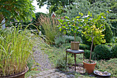 Summer garden with Mediterranean potted plants