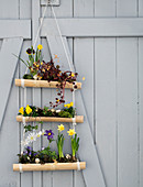 Homemade hanging basket made of bamboo with spring flowers on the barn door