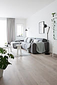Gray sofa in the simple living room in Scandinavian style