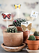 Homemade plant plugs with butterfly motifs in cacti