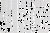 Black paint speckles on a white ground