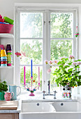 Flowering geraniums and a candlestick on a windowsill with a double sink in front of it