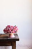 Heap of delicate pink flowers placed on dessert plate on old table against white wall