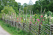 Typisch skandinavischer Holzzaun im blühenden Bauerngarten