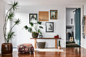 Wooden bench, houseplants and pictures in foyer