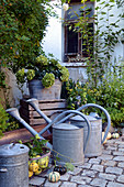 Autumn scene with zinc watering cans and pumpkins
