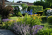 Blue-yellow bed with catmint, Tickseed, Heliopsis and delphinium