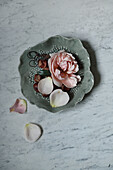 Rose blossom and petals in a bowl with pearls
