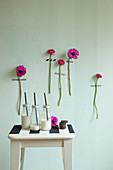 Hot-pink flowers with stems stuck on green wall and bottles of milk on stool