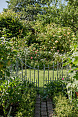 Galvanised garden gate