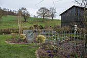 Metal fence in cottage garden in early spring