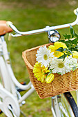 Weiße und gelbe Sommerblumen in Fahrradkorb