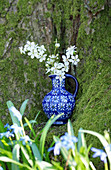 Branches of blackthorn blossom in blue jug