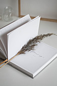 Dried stem of grass in notebook