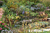 Pond and shrubs in natural-style summer garden