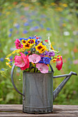 A colorful bouquet of summer flowers in a zinc watering can