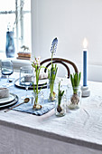Flowering bulbs in glass jars on table set for spring in natural style