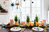 Weihnachtlich gedeckter Tisch mit Koniferen und Blockkerzen