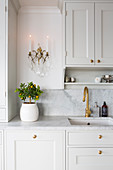 Small citrus tree below sconce lamp in classic kitchen