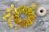 Wreath of beech leaves, string and scissors