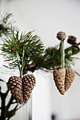 Heart-shaped pine-cone decorations hung from branch