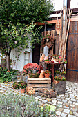 Herbst-Arrangement mit Chrysantheme, Windlichtern, Scheinbeere und Körben mit Zapfen und Walnüssen