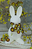 Easter bunny with gold laced primulas