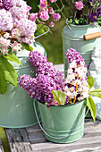 Bouquets of lilacs, aquilegia and branches of chestnut leaves