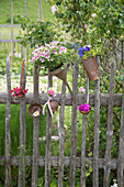 Plants planted in rusty kitchen utensils hung on garden fence