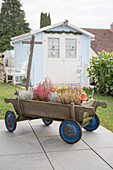 Alter Bollerwagen mit Winterpflanzen im Garten mit blauem Gartenhaus