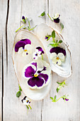 Violas and pansies in seashells