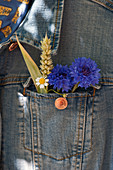 Cornflowers, wheat ears and chamomile in jacket pockt