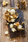 Getrocknete Blüten von Hortensie und Strohblumen als Blumendeko