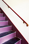 Purple stairs with handrail