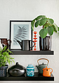 Chinese money plant and teapots on black floating shelves