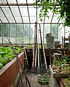 Raised bed in greenhouse