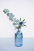 Eucalyptus and sea holly in glass bottle