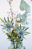 Close up of sea holly flowers