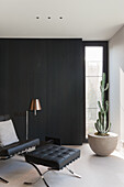 Living room with designer chair in front of black wooden wall and large cactus