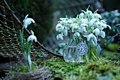 Posy of snowdrops in vintage-style glass vase on moss