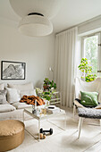 Sitzmöbel, Couchtisch und Zimmerpflanzen in hellem Wohnzimmer