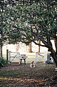 Dog in front of an open garden gate with cushions and blankets
