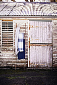Ladder with cloths on a barn with peeling paint