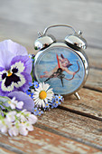 Posy of violas, daisies, rockcress and forget-me-nots next to alarm clock