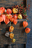 Physalis seed pods and rosehips in wooden drawer